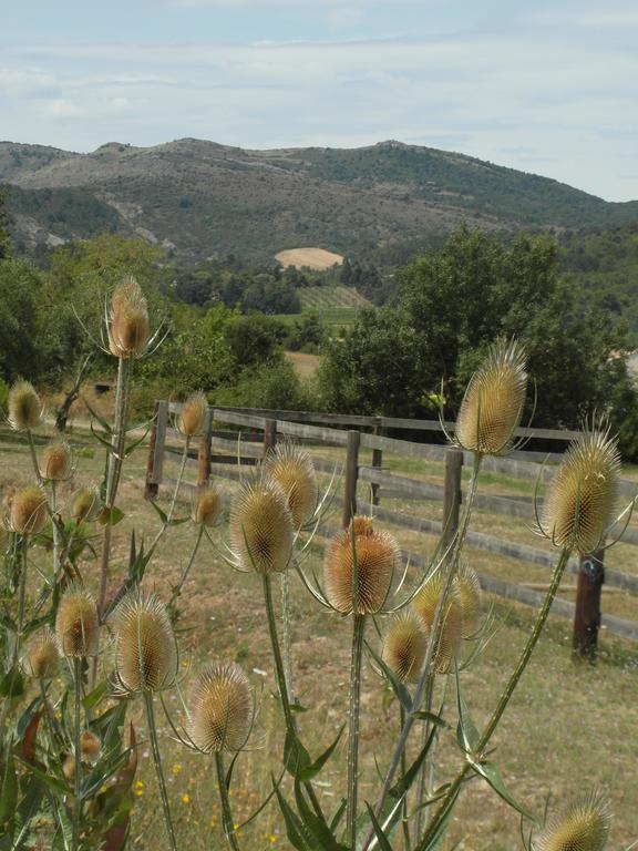 Bergerie Du Plo Villa Montlaur  Екстериор снимка
