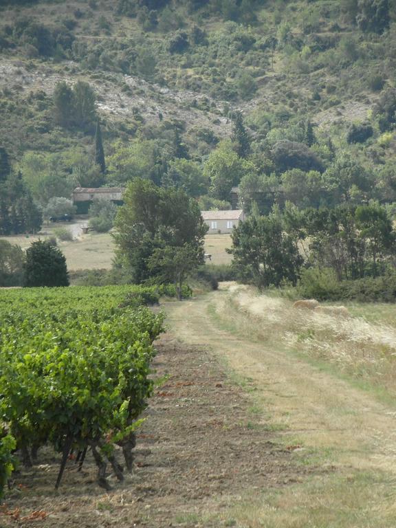 Bergerie Du Plo Villa Montlaur  Екстериор снимка
