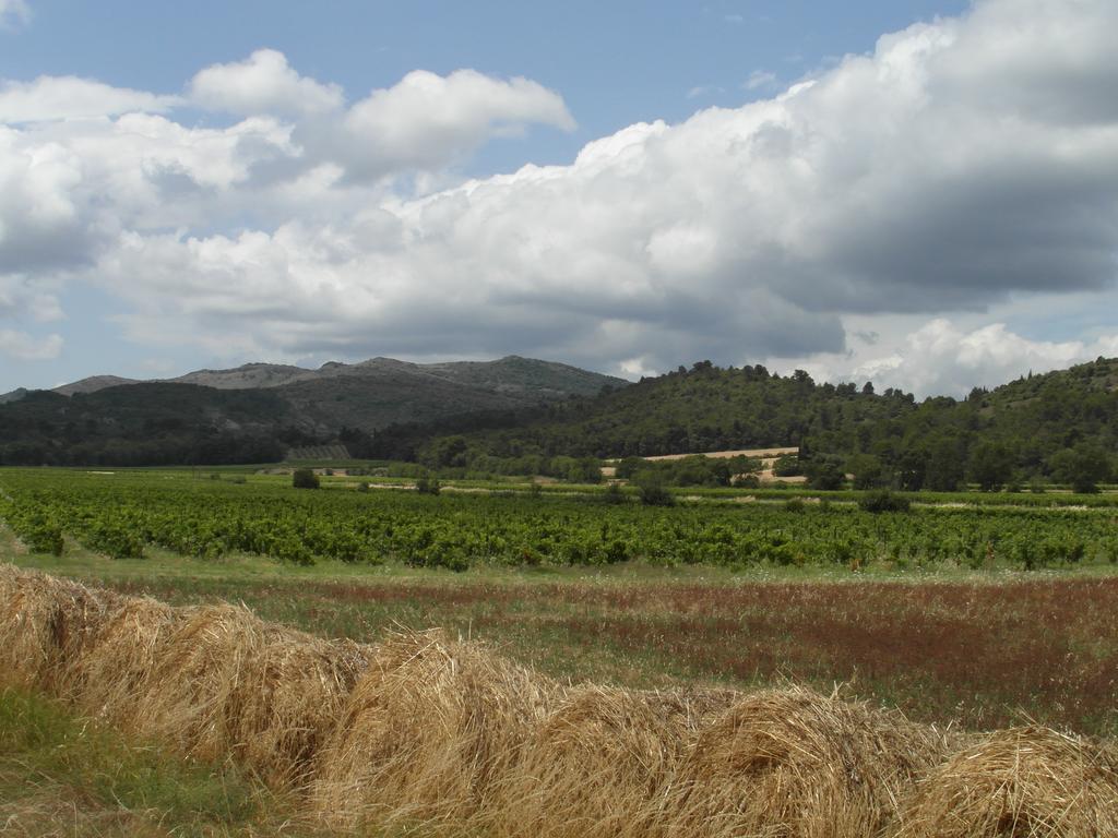 Bergerie Du Plo Villa Montlaur  Екстериор снимка